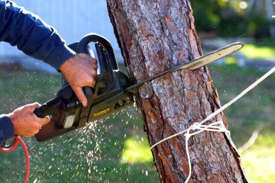 Tree Cutting Tools