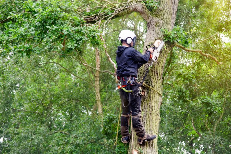 Arborist in Action